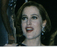 Gillian Anderson